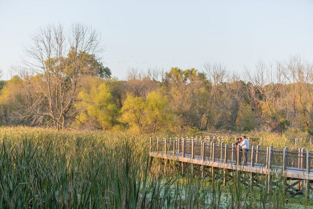 Mandeville Family | Galien River County Park | New Buffalo, MI | New Buffalo Family Photographer | Toni Jay Photography